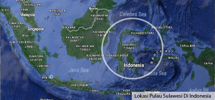 Get Pltmh Di Indonesia Gif