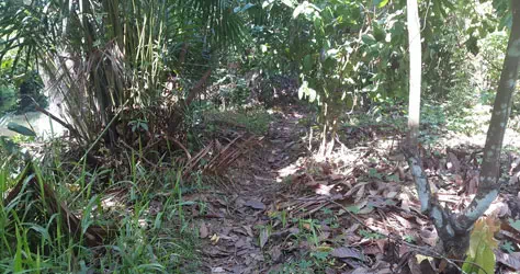 Kondisi jalan menuju lokasi PLTA