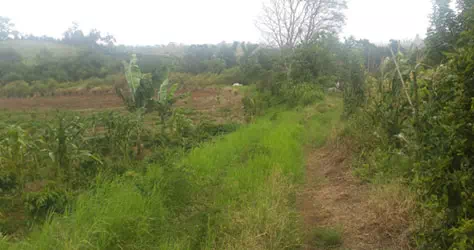 Kondisi jalan menuju lokasi pltm