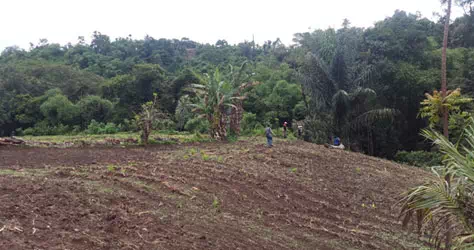 Hydro power plant location