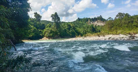 Developer Hydro energy Indonesia