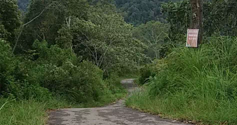 Kondisi jalan menuju lokasi pltm