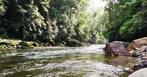 Developer Hydro energy Indonesia